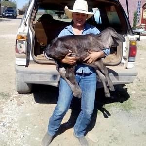 Meet your Posher, Jennifer